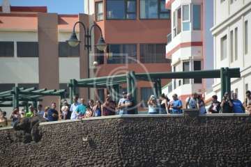  Cristo Cárdenes e Iria Otero, vencedores de la XVI Travesía a Nado de Salinetas (Foto TA)